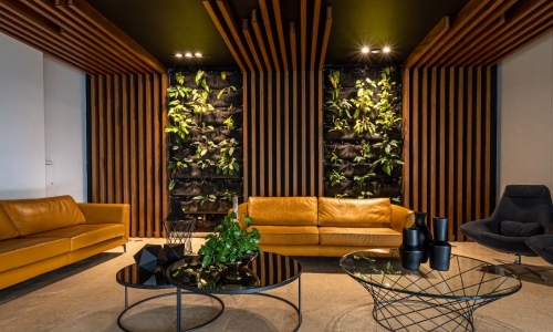 Cannabis lounges could soon be coming to Detroit