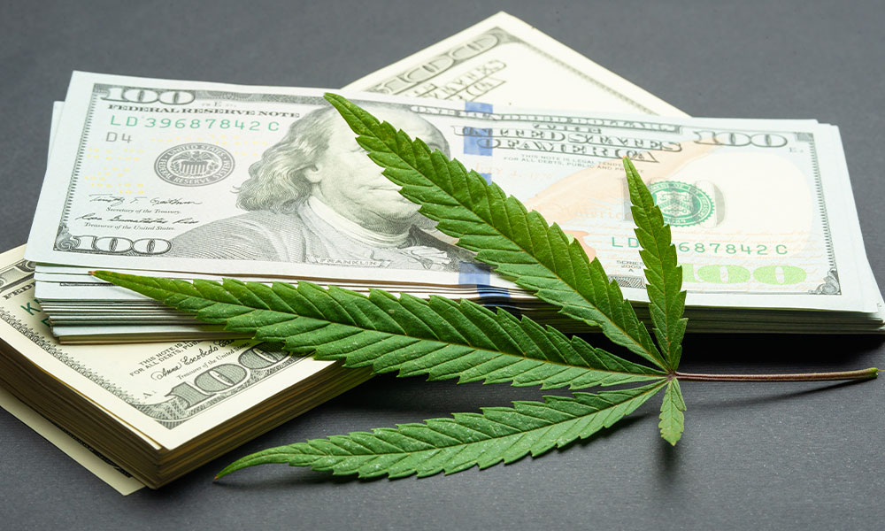 Cannabis money