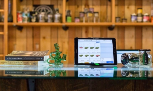 Green Wednesday Sees Over $9 Million in Cannabis Sales