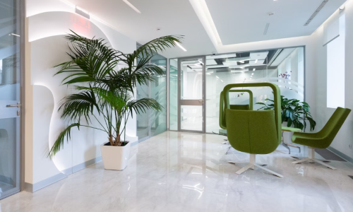 Ireland’s first Cannabis Clinic opens four years after Medical Program launches