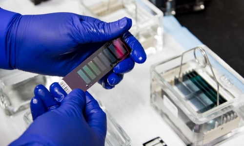 Minnesota Launches Pilot Program for Roadside Saliva Drug Tests