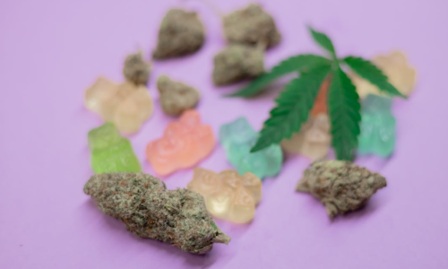 Missouri Cannabis industry grapples with drastic changes in regulations