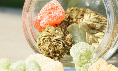 Nearly 100,000 Marijuana expungements since amendment 3 passed last year