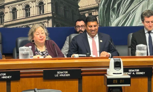 New York Senators say they now know what’s wrong with the state’s Cannabis Industry. What will they do next?