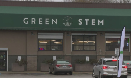 Niles Cannabis dispensary prioritizes worker safety amidst growing industry health concerns