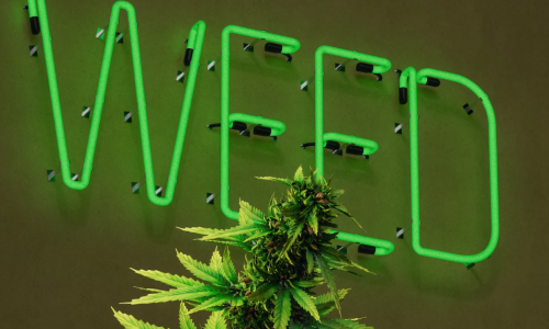 Romeoville Approves Special use for Cannabis Dispensary Relocation