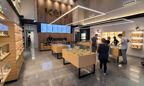 Second cannabis retail store application in Pitt Meadows