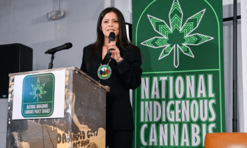 The National Indigenous Cannabis Industry Association unveils its first board of directors, aiming to promote opportunities and equity for Indigenous individuals