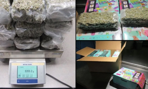 US border officials seize several kilograms of Cannabis at Canadian border