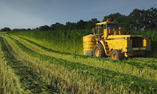 Already nation's top Hemp producer, South Dakota aims to capitalize on Budding industry