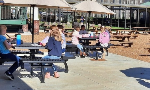 Arkansas Medical Cannabis Sales Tax Funds School Lunches for Kids