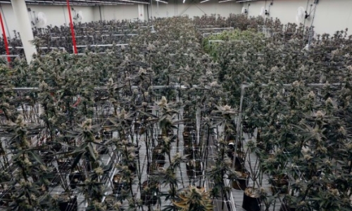 As Recreational Marijuana debate continues, House members told to stick to original to tax plan