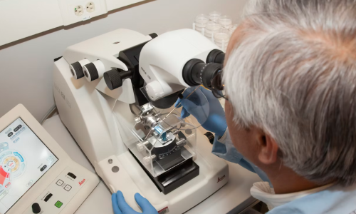 CBD’s Anti-Inflammatory, Neurological Benefits Could Provide Alzheimer’s Relief