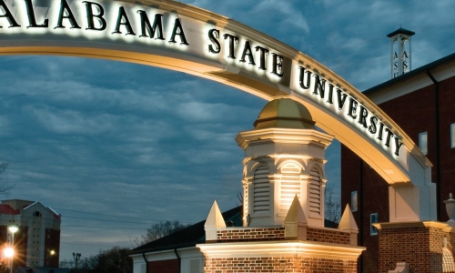 Cannabis Commission can make a true impact with Hornet Medicinals