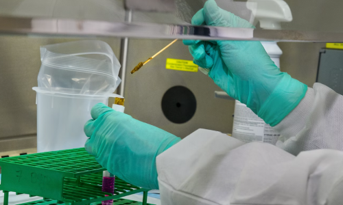 Hemp Cannabinoids Could Be Source of New Pesticides
