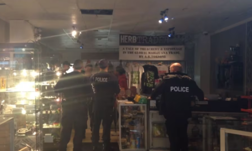 Marijuana activist accused of not reporting $2.5M in sales, faces huge tax penalties