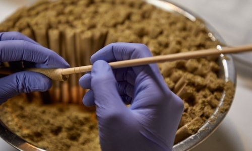 Mississippi Retailers Caught Selling Weed Disguised as Hemp Products