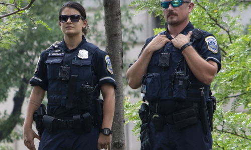 Nevada Commission Approves Reform to Police Hiring Rules Regarding Cannabis Offenses in Landmark Vote