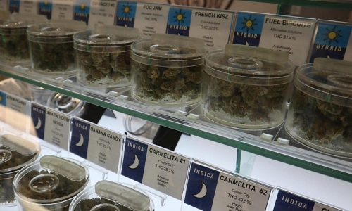 New lawsuit threatens opening of new NY Cannabis stores