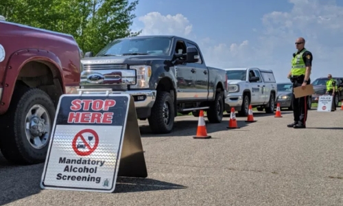 Police suspend many licences after drivers test positive for THC