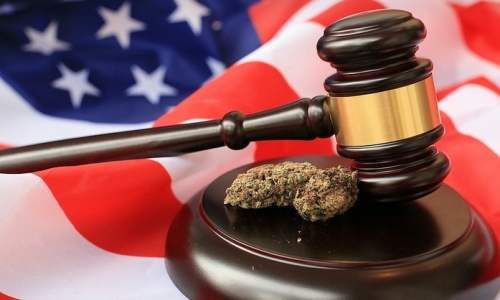 The high price of Federal Marijuana laws in a state where it is legal