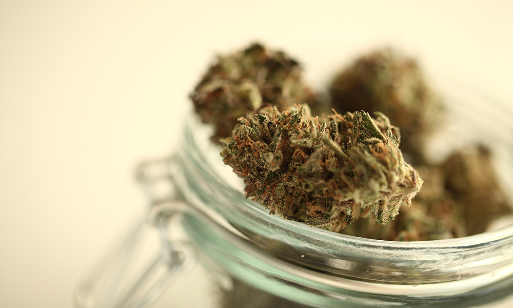 best delta 8 thc flower brands