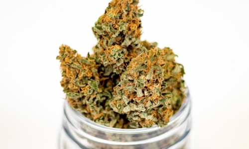 A Closer Look at Virginia’s Cannabis Legislation: Opportunities and Obstacles