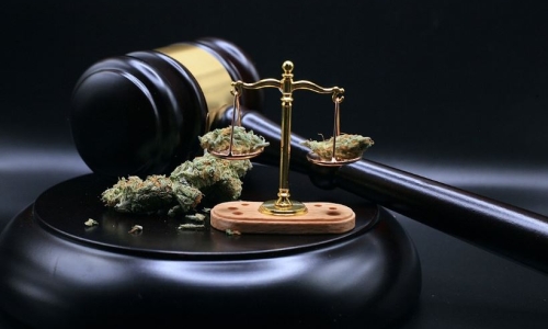 A conspiracy with Medical Cannabis licenses?