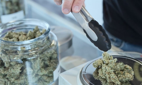 Arkansans cross state line for new Missouri Flora Farms Dispensary