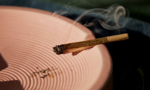 Can I be fired for smoking weed in my off-hours?