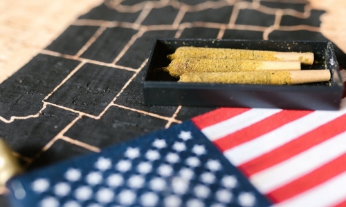 Cannabis Ballot Initiative Title Rejected by Arkansas Attorney General