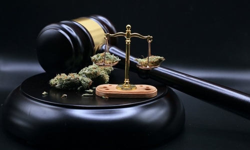 Cannabis company files appeal with the Alabama Supreme Court