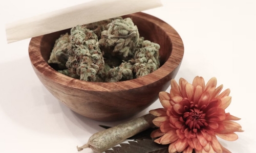 Depositions to come in Alabama Medical Cannabis licensing controversy