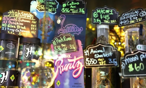 Don’t let efforts to regulate high-potency Pot go up in smoke