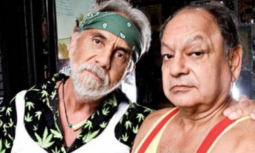 “Cheech And Chong Would Be Proud” How Cannabis Is Fighting Climate Change