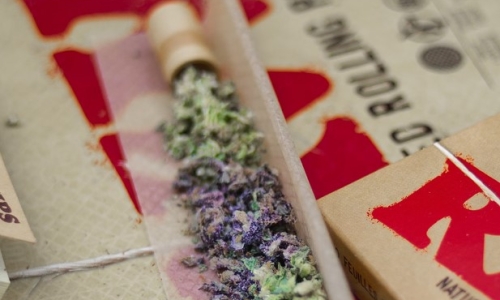 FDA Review Supports Reclassifying Marijuana as Less Risky Drug