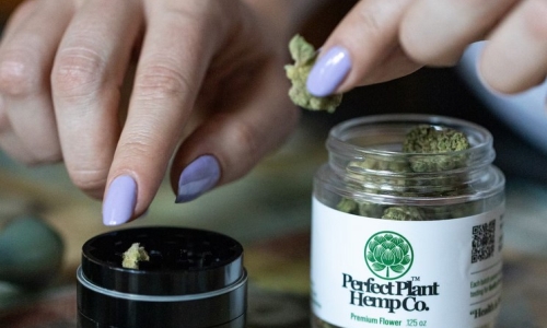 Federal Scientists Recommend Easing Restrictions on Marijuana