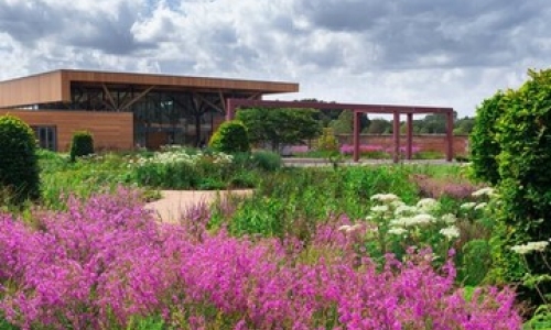 Garden Club Explores Cannabis Therapies