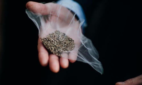 Is Hemp Protein an Overlooked Sector of the Industry?