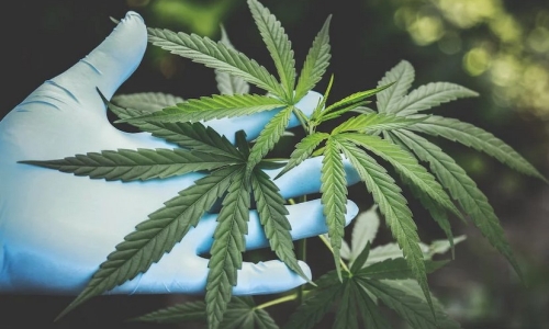 It’s about time on medical Marijuana for Wisconsin