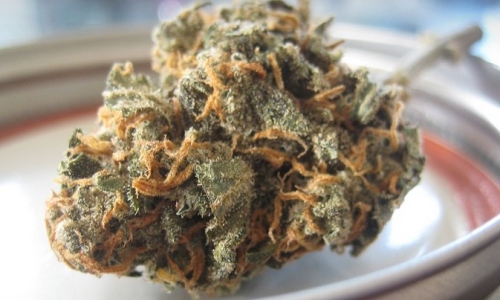 Medical Marijuana dispensary licenses blocked in Alabama amid dispute over selection process