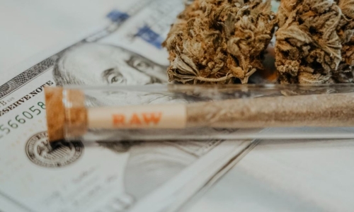 New Mexico Revoked Licenses of Cannabis Growers and Fined Them $2M for Safety, Other Violations