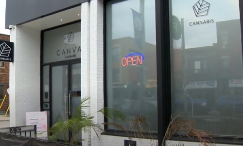 New Ontario cannabis rules could have ‘Amazon effect’ on industry