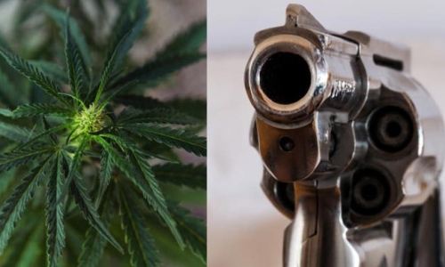 South Dakota Senate Kills Bill Forcing Marijuana Shops To Warn Patients Of Fed Firearms Ban