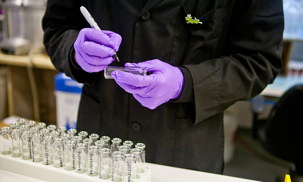 Louisiana’s First MMJ Harvest Passes Inspection