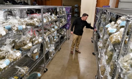 Struggling with oversaturation, Oregon’s Cannabis industry calls for new restrictions