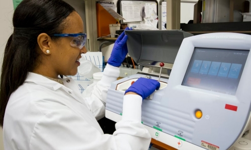 Study Shows Cannabis Has The Potential To Prevent And Treat Covid-19