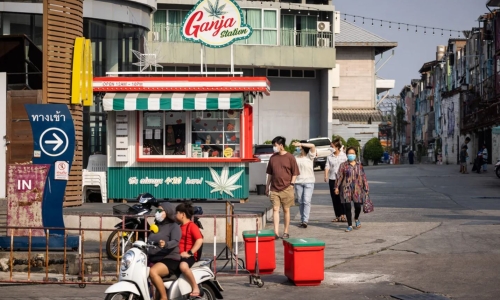 Thailand moves to ban recreational cannabis use, 18 months after historic decriminalization