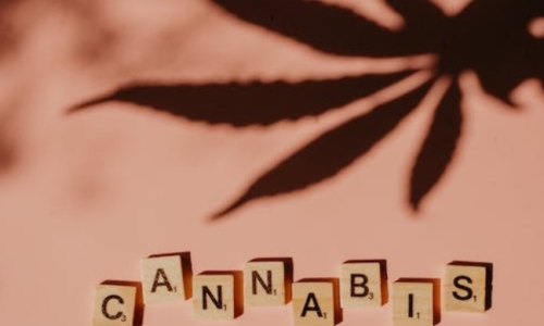 Weiser leads multistate effort in support of federal rescheduling of Cannabis