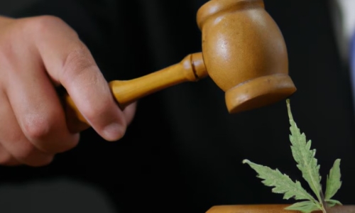 What’s going on with that Cannabis beverage lawsuit against NY regulators? Here’s an update